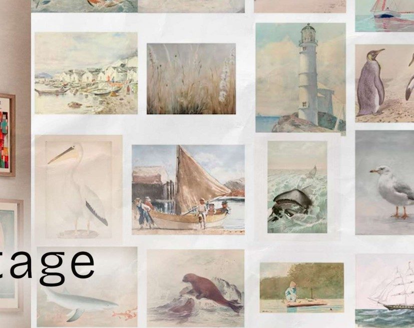 Vintage nature illustration prints of birds, boats and coastal scenes